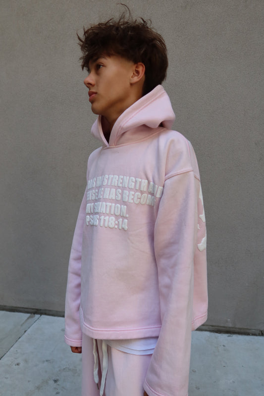Pink Scripture Hoodie